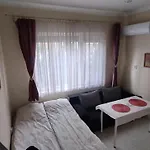 Central-sheynovo Проживание в семье *