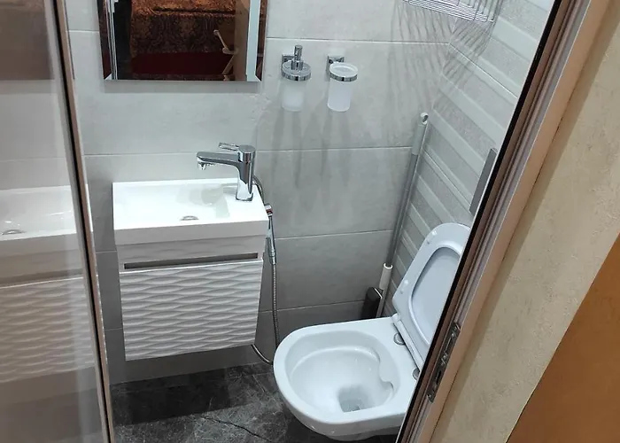 Central-sheynovo Homestay *