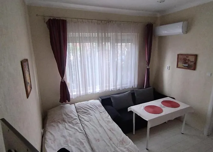 Central-sheynovo Homestay *