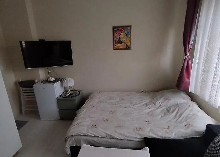 Homestay Central-sheynovo Burgas