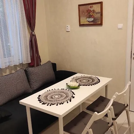 Проживание в семье Central-sheynovo *